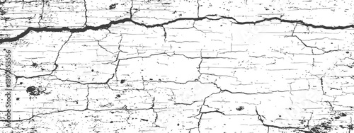 Distressed vector texture of cracked plaster or dried soil Grunge overlay background abstract black and white pattern