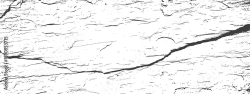 Black and White Abstract Distressed Rock Surface Texture Overlay