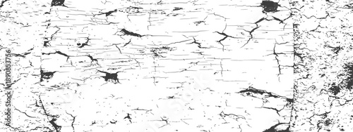 Black and White Cracked Paint Grunge Overlay Vector Texture Distressed Abstract Background