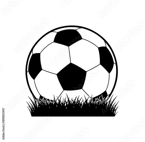 Soccer Ball on Grass Illustration