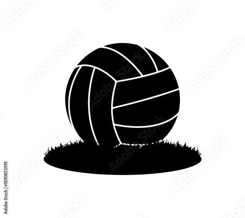 Volleyball on Grass Vector Illustration