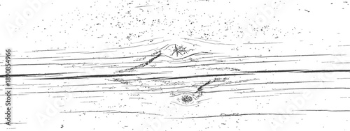 Black and white grunge distressed wood texture vector background overlay Vintage aged wooden plank surface with cracks and knots