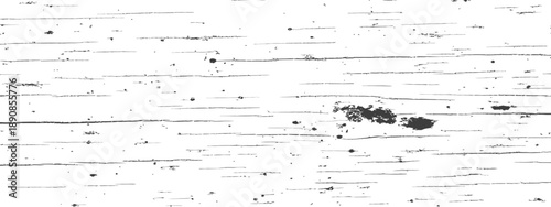 Fényképezés Vector Black and White Distressed Wood Grain Texture or Rough Birch Bark Graysca