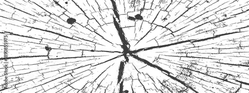 Distressed Tree Trunk Cross Section Vector Texture Black and White Grunge Overlay Background
