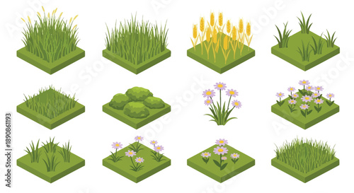 Isometric grass patches and flowering plants on cubic platforms