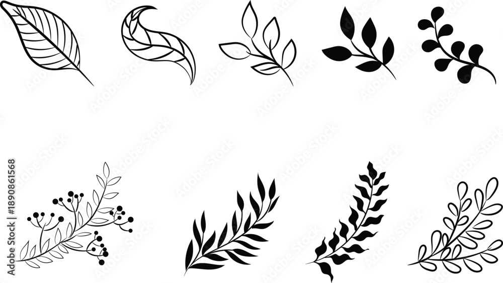 Fototapeta premium Hand drawn cute doodles flower, leaf black on white background