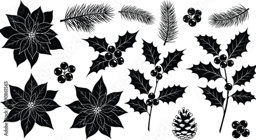 Black silhouette of Christmas botanical elements, winter holly berries, poinsettia flowers, pine branches and cones isolated on white background for holiday greeting card design