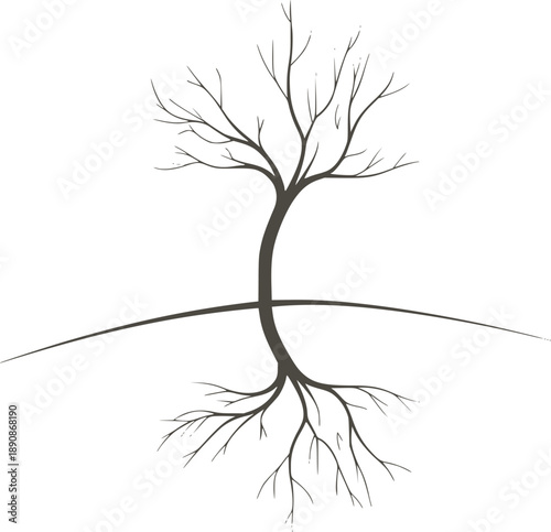 Minimalist black ink line of a tree with visible roots and branches