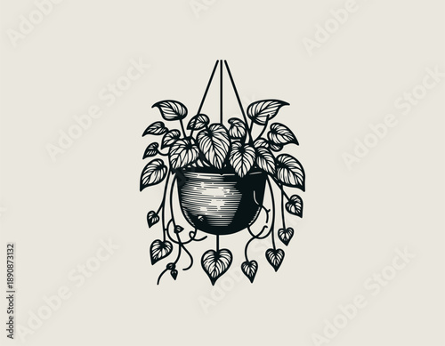 Hanging houseplant illustration displays cascading leaves in calm decorative botanical style 