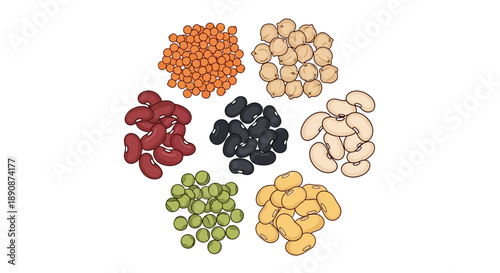 Vector illustration of various healthy legumes for World Pulses Day, showcasing nutrition and food diversity on a white background.