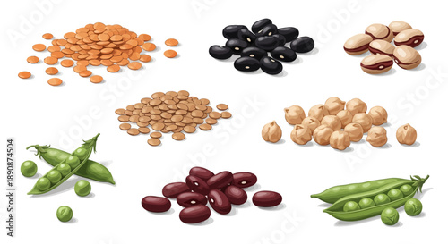 Vector illustration of various legumes and beans for World Pulses Day, showcasing healthy food options in a flat lay composition with a clean white background.