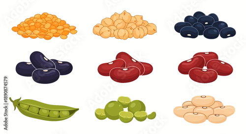 Vector illustration of various colorful legumes and beans for World Pulses Day, showcasing healthy food options in a flat graphic style against a clean white background.