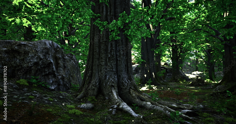 Fototapeta premium massive tree trunk with exposed roots and cracked bark, close textures reveal age and resilience, evocative subject for heritage forestry, sustainable timber