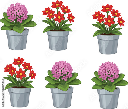 Cute potted flowering plant vector set with colorful indoor houseplants in flat cartoon style for home and garden design