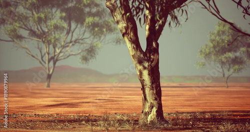 Bild auf Leinwand gnarled tree trunk over red earth expanse, warm dusty foreground with distant bl