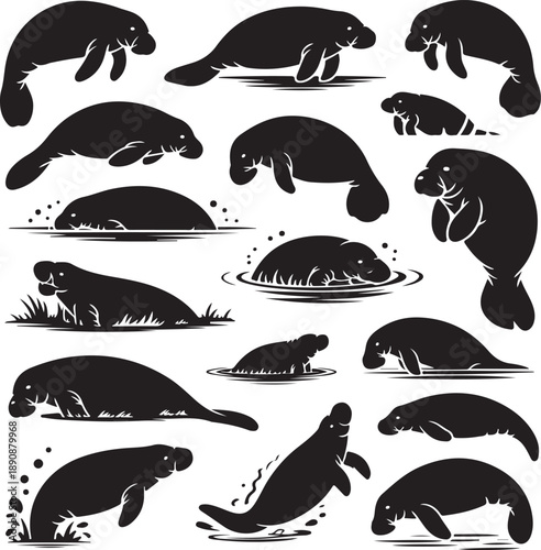Collection of manatee silhouettes in various swimming and resting positions