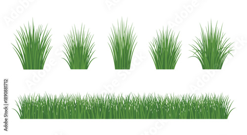 Set of green grass patches and a long horizontal lawn border isolated on white background for landscape and garden design.