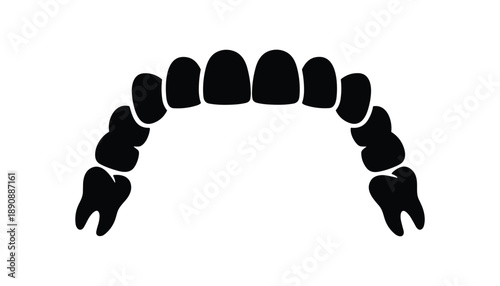 Human jaw with set of teeth silhouette with premolar and molar vector image