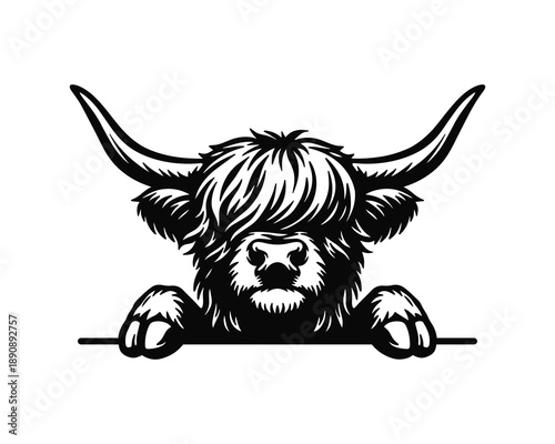 Highland cow peeking illustration, farm animal vector silhouette