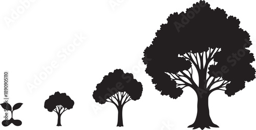 Tree Growth Stages Silhouette Vector Illustration Set