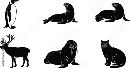 Wildlife animal silhouette set, penguin seal walrus deer cat illustration, black and white nature vector, isolated animal collection artwork