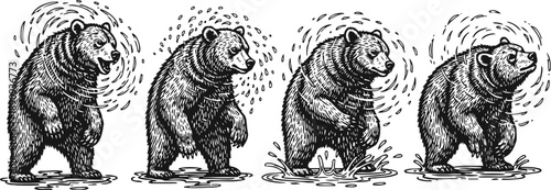 hand drawn grizzly bear shaking off water in sequential motion wild animal, nature, forest creature, detailed ink illustration