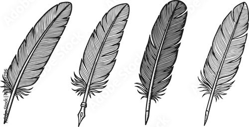 vintage quill pen illustrations set with detailed feather designs in black and white