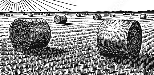 Rolled hay bales on a harvested field under a rising sun with detailed woodcut lines and shading