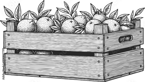 Wooden crate filled with fresh citrus fruits and leaves, natural harvest and organic produce illustration