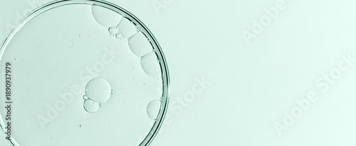 Liquid cosmetic product for the skin in a Petri dish.