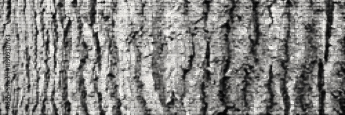 Halftone wood texture background. Black dot tree bark pattern, white background. Vector horizontal banner.