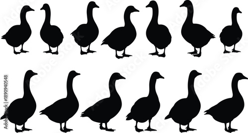 Collection of goose and duck silhouettes isolated on white background for farm animal icons and waterfowl nature design elements set.