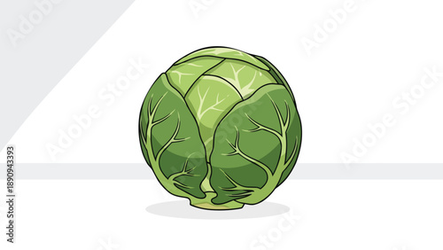 Captivating single brussels sprout illustration featuring vibrant green leaves organic details a perfect vector for healthy eating concepts and