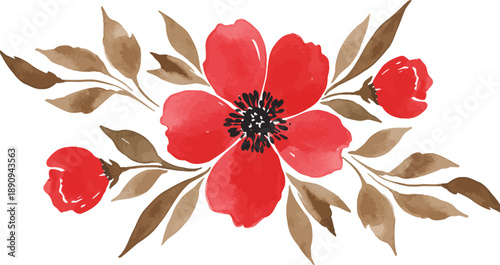 Vibrant red flower with brown leaves on white background