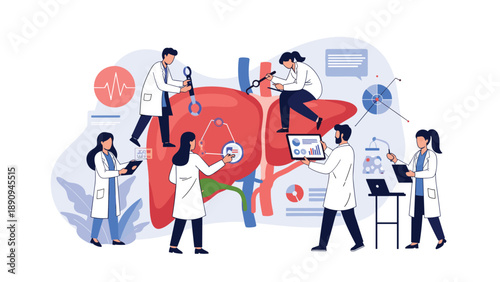 Team of medical professionals and scientists collaborate to study and analyze a large human liver using advanced diagnostic tools.