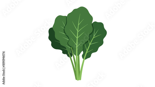 A vibrant illustration showcasing a fresh green leafy vegetable bunch, perfect for themes of healthy eating, organic produce, nutrition, and