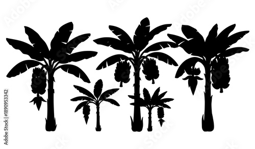 Tropical banana trees vector illustration with fruit and leaves