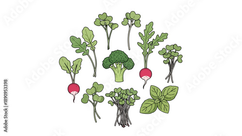 A delightful circular graphic illustrating an assortment of wholesome garden vegetables and aromatic herbs showcasing red radishes green arugula