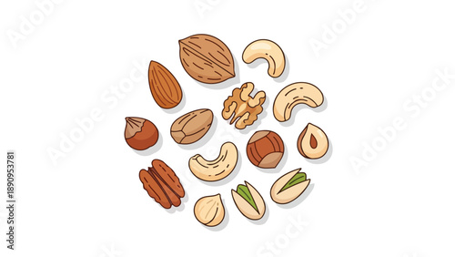 Colorful cartoon style collection of various healthy whole and shelled nuts including almonds cashews walnuts hazelnuts pecans pistachios on white