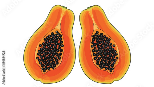 Vibrant tropical papaya halves displaying rich orange pulp and numerous dark seeds an inviting illustration of fresh fruit with detailed internal