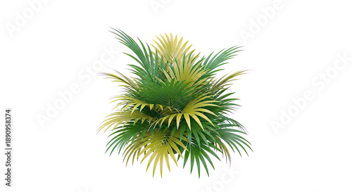 Lush Green Palm Fronds