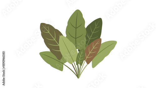A harmonious cluster of various stylized green leaves presented in a crisp, minimalist flat design, perfectly illustrating botanical beauty and