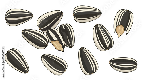 Beautifully illustrated striped sunflower seeds, some cracked to show their edible kernels, symbolizing healthy, natural snacks and ingredients for