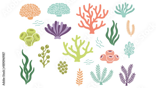 A colorful illustration of various coral and seaweed species underwater