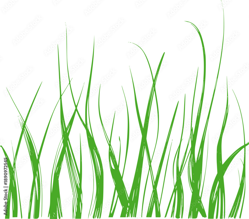 Fototapeta premium Green Grass Blades Monochromatic Style abstract