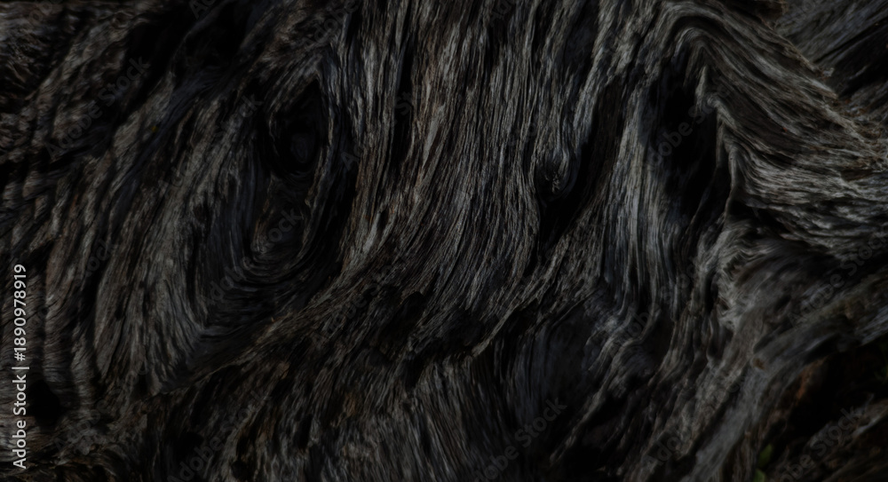 Naklejka premium Horizontal view of weathered dark brown dead tree trunk with rough cracked bark texture