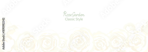 白い背景に白いバラが並んだベクターイラスト