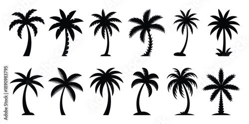 Palm tree silhouettes set tropical coconut trees vector
