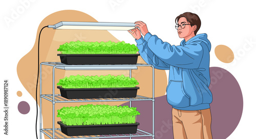 Young man tending to indoor hydroponic microgreens garden setup.