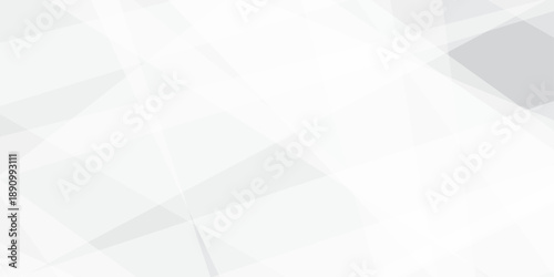 Abstract background with white and gray and geometric style with simple lines and corners, polygons as background geometric style with simple lines and corners, polygons as background paper texture